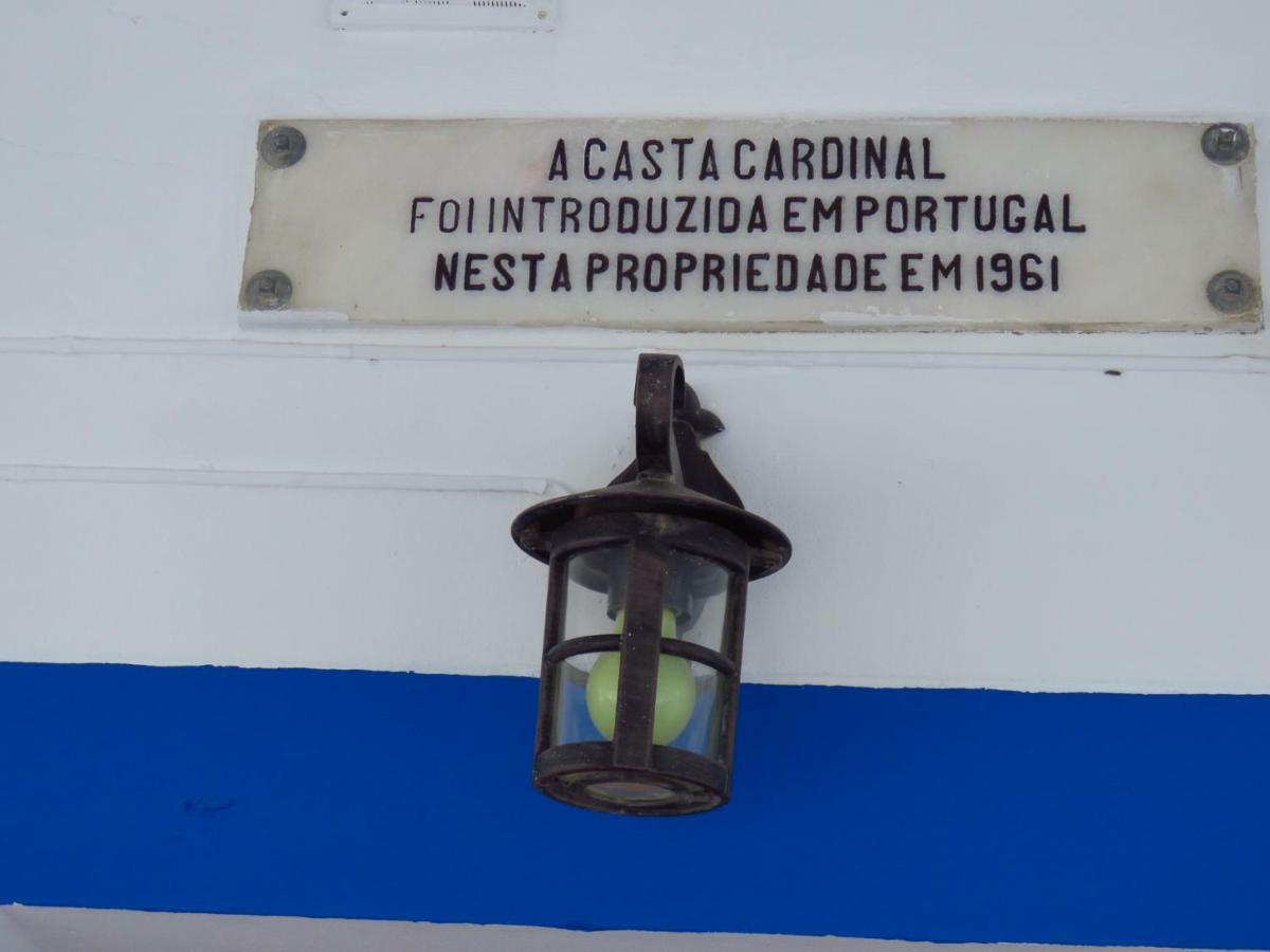 Vila Vale Do Boto-Quinta Com 3 Casas Castro Marim Exteriér fotografie