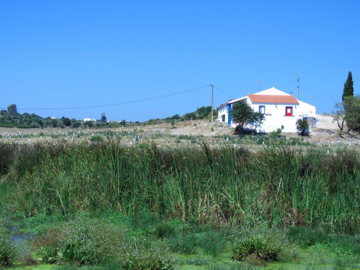 Vila Vale Do Boto-Quinta Com 3 Casas Castro Marim Exteriér fotografie