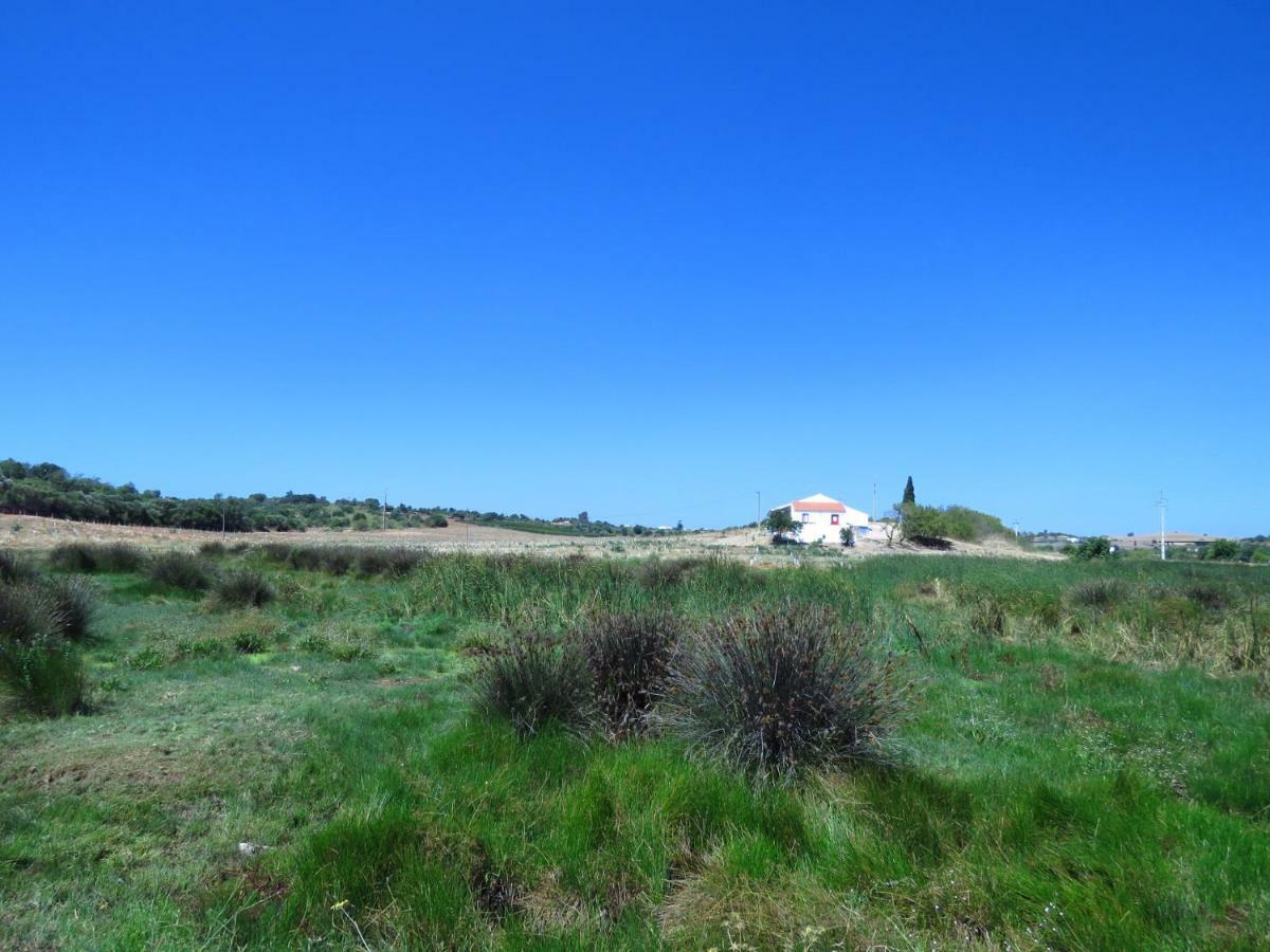 Vila Vale Do Boto-Quinta Com 3 Casas Castro Marim Exteriér fotografie